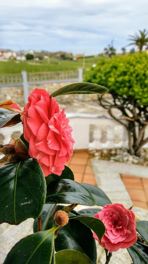 Hotel El Panorama Tapia De Casariego Εξωτερικό φωτογραφία
